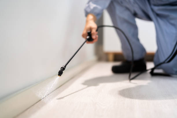 Bed Bug Pre-Treatment Preparation Assessment in Port Byron