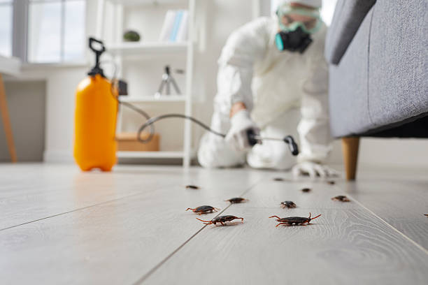 Post-Treatment Bed Bug Interceptor Monitoring in Port Byron