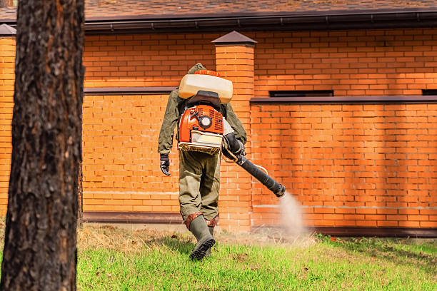 Bed Bug Clearance Verification and Documentation in Port Byron